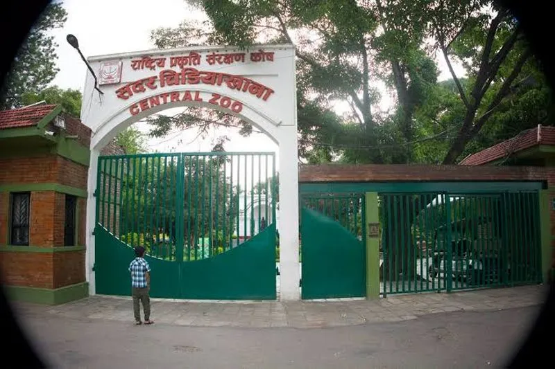 Nepal shuts down Central Zoo after bird flu outbreak