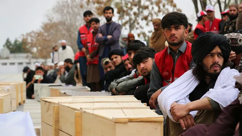 Nearly 500 Afghan civilians have been killed in Pakistan -Afghanistan fighting since October says UN.