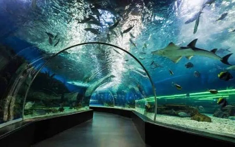 Jammu set to enter India’s marine tourism map as Oceanarium at Bagh-e-Bahu nears opening