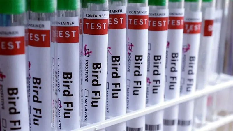 First case of H5N1 bird flu in Australia has been confirmed. What does this mean