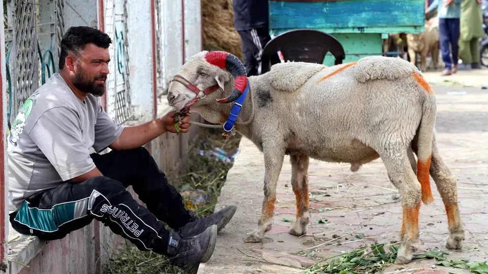 Qurbani of the Self
