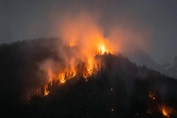 Rajouri’s Burning Hills: When Forest Fires Become a Social Crisis