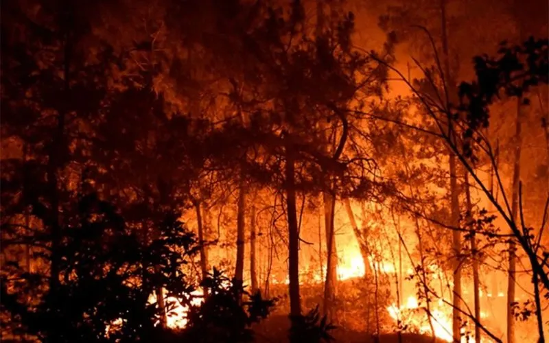 Wildfire crisis eases in Western Europe but worsens in Greece as winds drive new blazes
