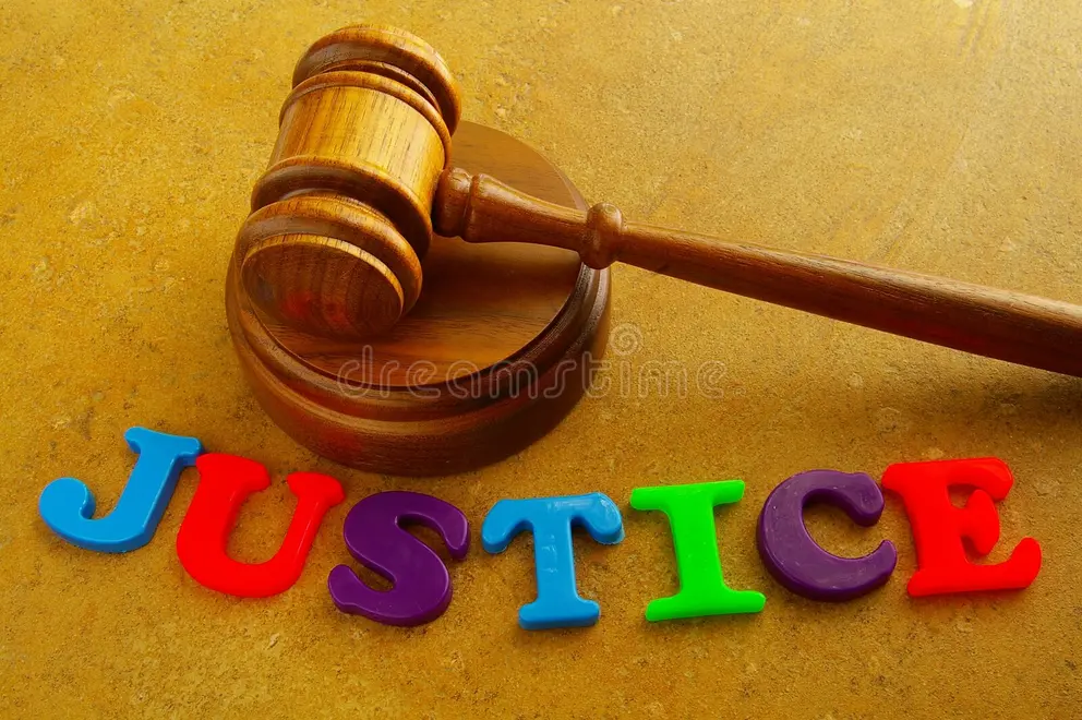 Minor Granted Bail by Juvenile Justice Board Srinagar