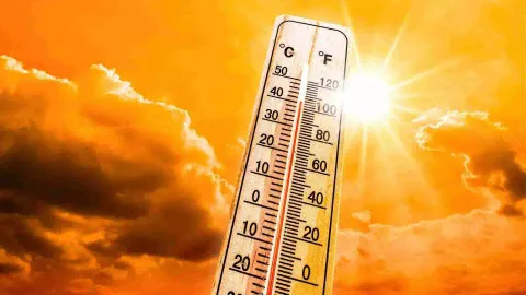 Sri Ganganagar hottest at 48.2 degrees Celsius, as heatwave grips north India